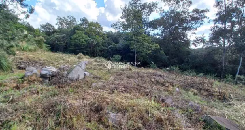 Terreno à venda na Rua João Celli, 11, Santa Catarina, Caxias do Sul