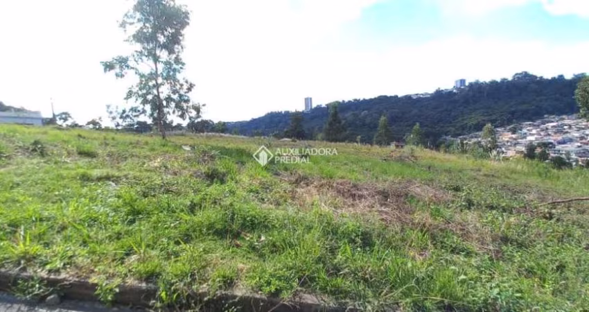 Terreno à venda na Rua João Celli, 19, Santa Catarina, Caxias do Sul