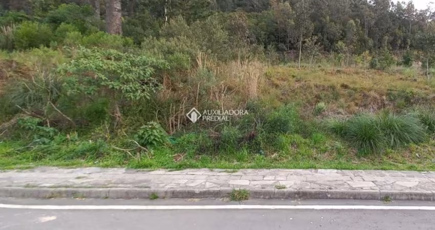Terreno à venda na Rua Luiz Covolan, 4536, Santa Catarina, Caxias do Sul