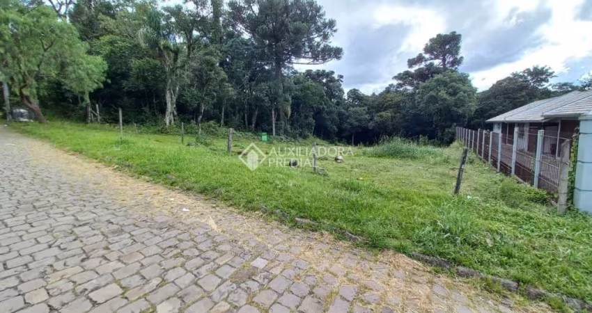 Terreno à venda na Rua Angelo Frare, 217, São Luiz, Caxias do Sul