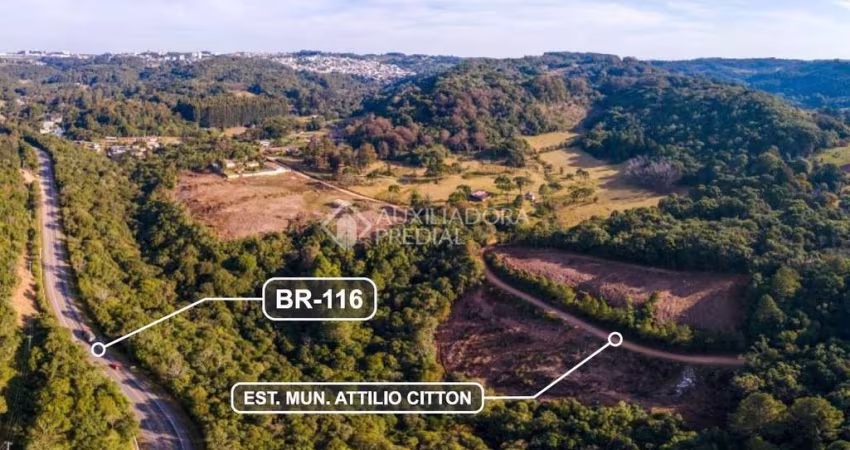 Terreno à venda na Estrada Municipal Attílio Citton, 1, Santo Antônio, Caxias do Sul