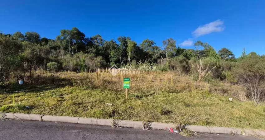 Terreno à venda na Rua Vereador Pedro Rech, 513, São Giácomo, Caxias do Sul