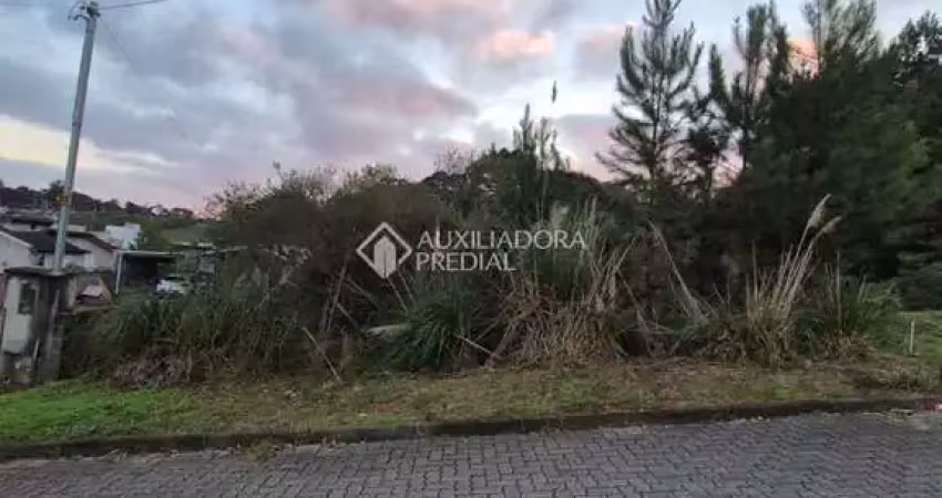Terreno à venda na Vitorino Swaisser, 999, São Caetano, Caxias do Sul