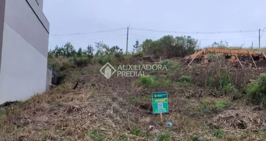 Terreno à venda na Rua Antonio da Silva Ferreira, 63, São Giácomo, Caxias do Sul