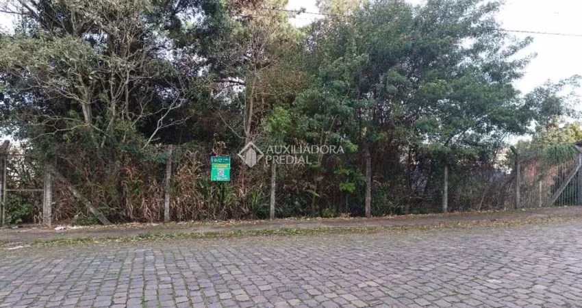 Terreno à venda na Rua Josefina Corsetti, 3566, Petrópolis, Caxias do Sul