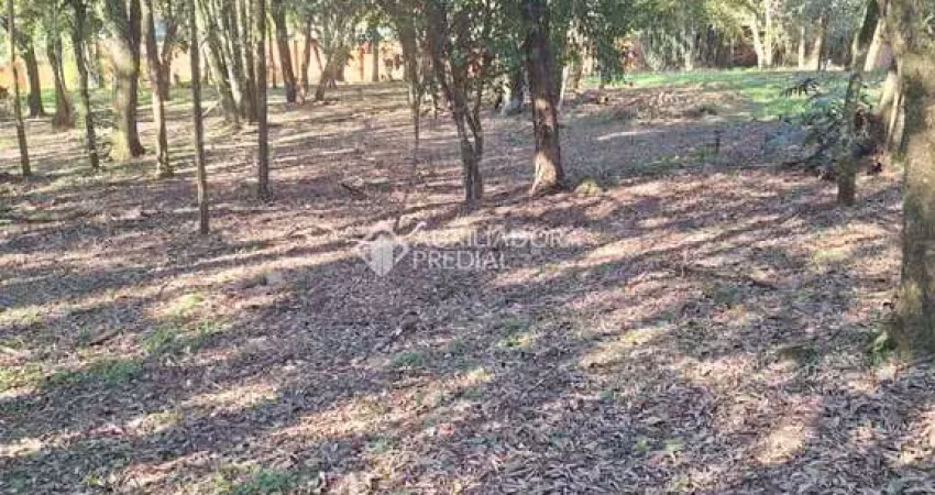 Terreno à venda na Conde D'Eu, 03, São Virgílio, Caxias do Sul
