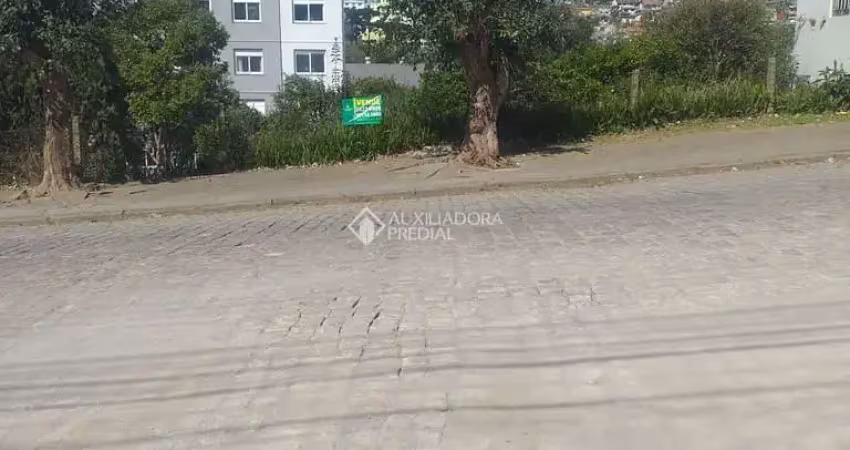 Terreno à venda na Rua Antônio Berti, 40, São Leopoldo, Caxias do Sul