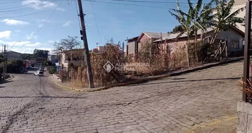 Terreno comercial à venda na Rua Armindo Luiz Rech, 999, Serrano, Caxias do Sul