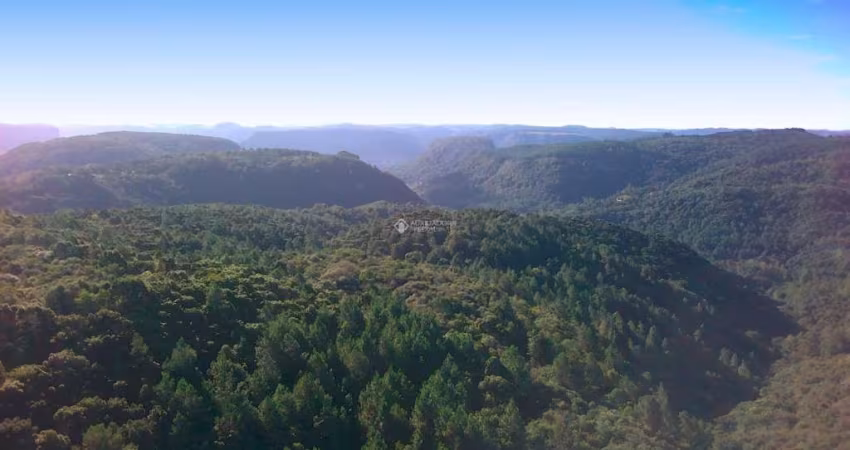 Terreno à venda na Quatro (Lot Belvedere), 10, Belvedere, Gramado