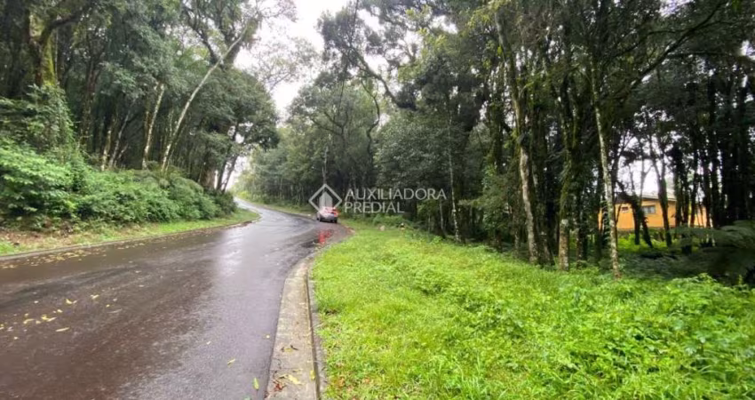 Terreno em condomínio fechado à venda na nestor ruchel, 1, Lagos do Bosque, Gramado