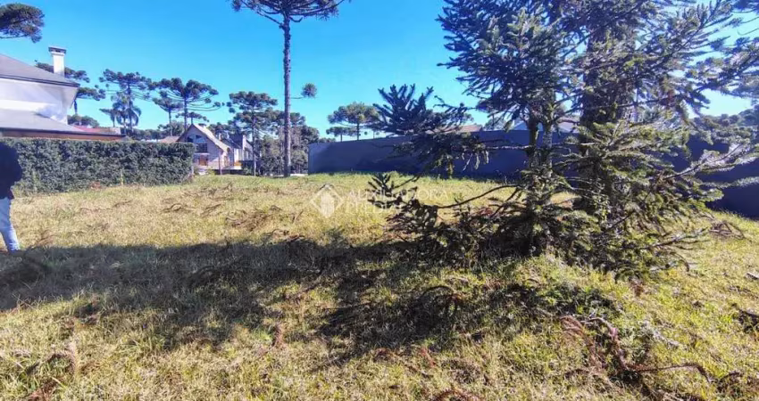 Terreno em condomínio fechado à venda na Rs 235 Km 32, 235, Aspen Mountain, Gramado