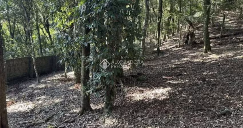 Terreno em condomínio fechado à venda na Laurindo Comiotto, 60, Lagos do Bosque, Gramado