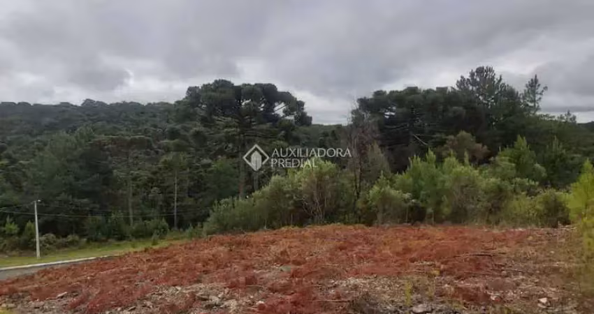 Terreno à venda na beatriz de oliveira, 15, Dutra, Gramado