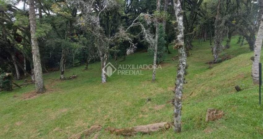Terreno em condomínio fechado à venda na QUADRA C  LOTE 6, 6, Centro, Canela