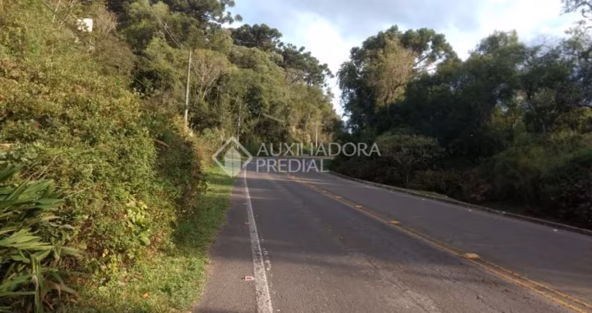Terreno em condomínio fechado à venda na JOAO BALDASSO, 10000, Centro, Canela