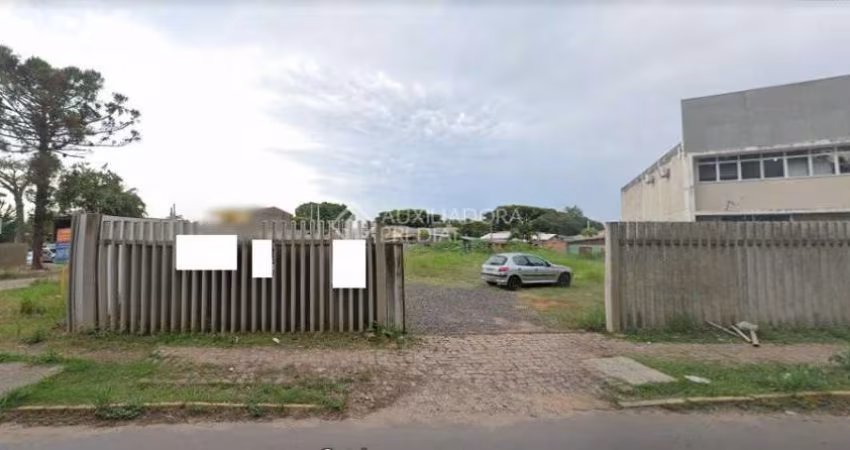 Terreno em condomínio fechado à venda na Rua Vereador Ruy Souza Feijó, 240, Cedic, Cachoeirinha