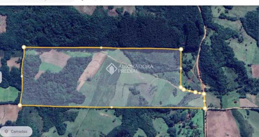 Fazenda à venda na Alves, 2041, Centro, Mariana Pimentel