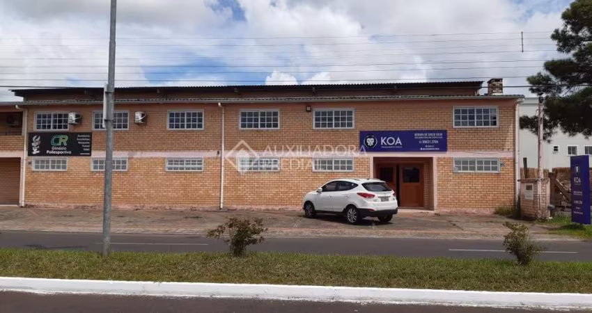 Barracão / Galpão / Depósito à venda na Santos Dumont, 2434, Albatroz, Osório