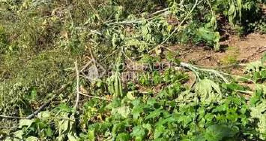 Terreno à venda na Rua Dolores Duran, 337, Lomba do Pinheiro, Porto Alegre