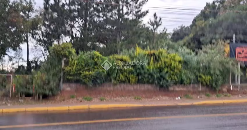 Terreno comercial à venda na Avenida Santa Rita, 675, California, Nova Santa Rita