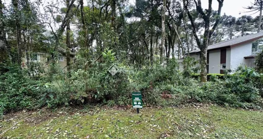 Terreno em condomínio fechado à venda na Vale Do Quilombo, 9, Reserva da Serra, Canela