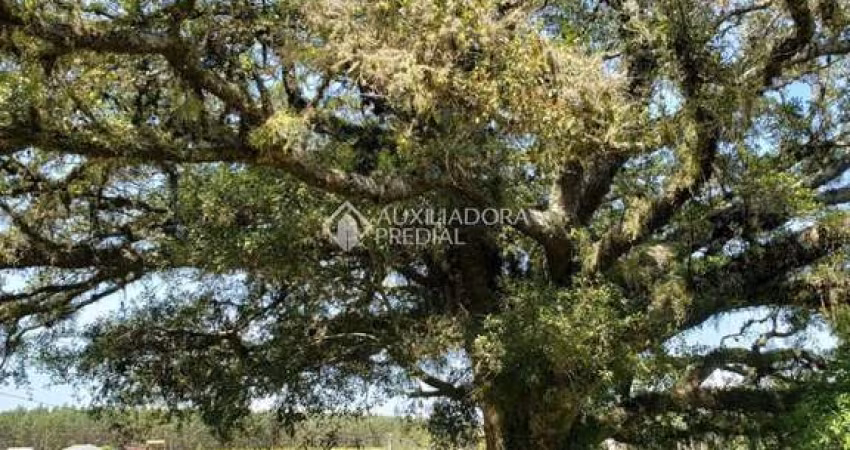 Fazenda à venda na Distrito Vendinha, 1, Zona Rural, Triunfo