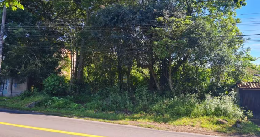 Terreno à venda na Estrada Afonso Lourenço Mariante, 204, Aberta dos Morros, Porto Alegre