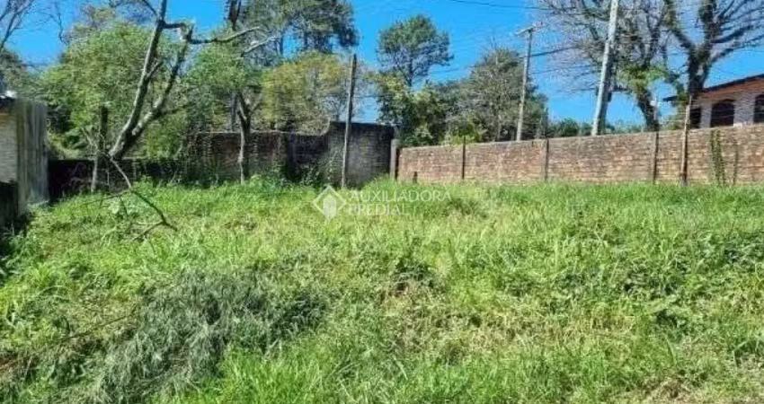 Terreno à venda na Rua Amapá, 786, Vila Nova, Porto Alegre