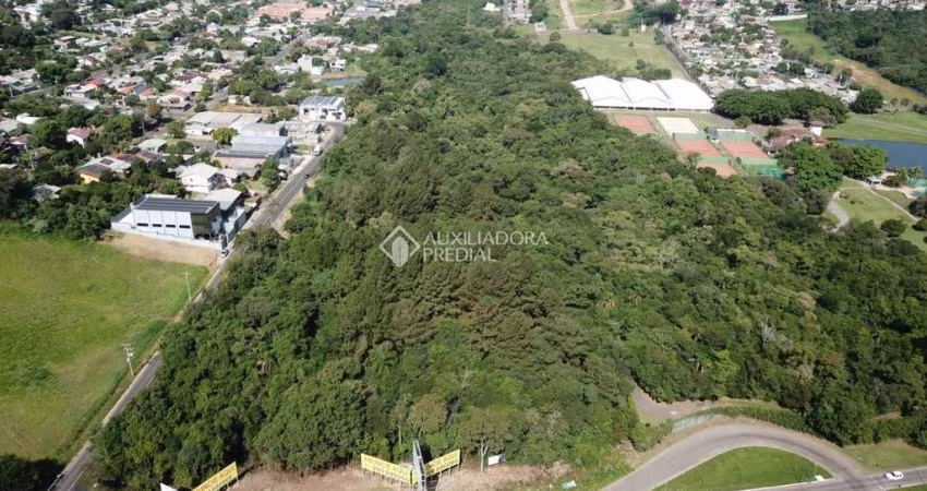 Terreno comercial à venda na RS - 239, 10, Imigrante, Campo Bom