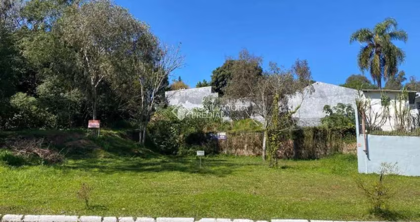 Terreno à venda na Rua Bento Manoel, 355, Operário, Novo Hamburgo