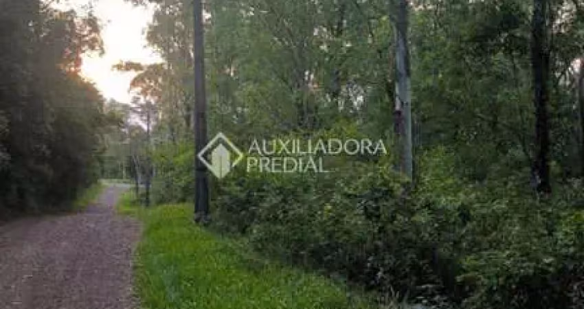 Terreno à venda na das Orquídeas, 01, Alpes do Vale, Novo Hamburgo
