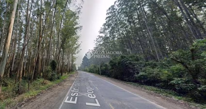 Terreno comercial à venda na Leopoldo Petry, 455, Santo Afonso, Novo Hamburgo