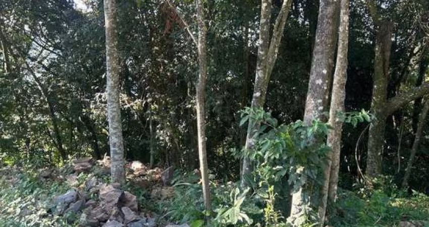 Terreno à venda na Veranopolis, 3, Pousada da Neve, Nova Petrópolis