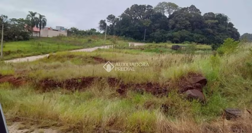 Terreno à venda na C, 5, São João, Dois Irmãos