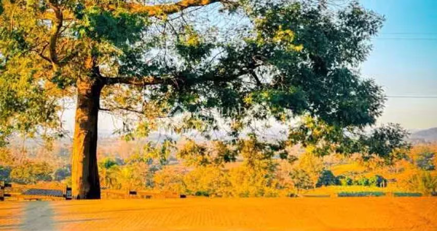 Fazenda à venda na Adyr Paz Pereira, 1, Lomba Grande, Novo Hamburgo