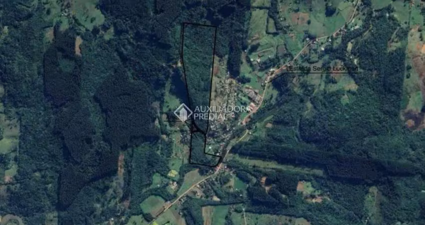 Terreno comercial à venda na Pindio Ferreira de Jesus, 377, Evaristo, Santo Antônio da Patrulha