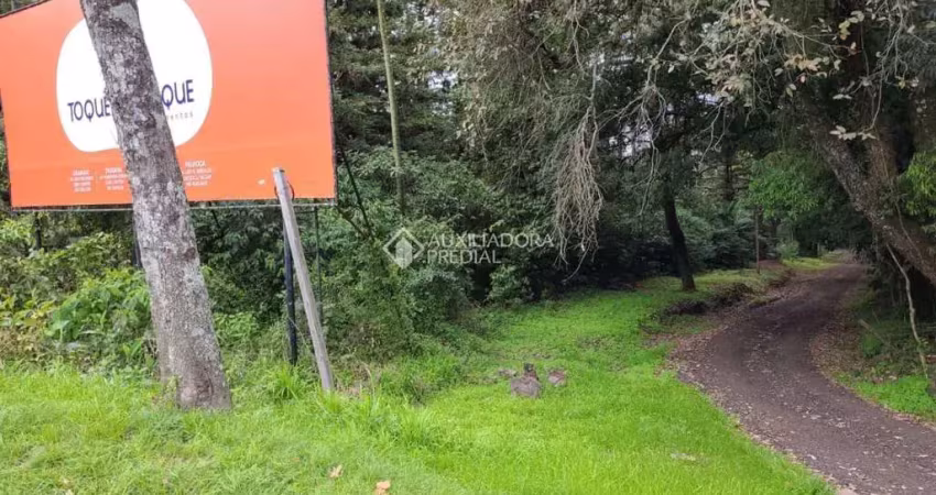 Terreno comercial à venda na Br 116, 231, Cidade Nova, Ivoti