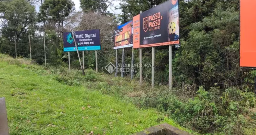 Terreno comercial à venda na Br 116, 231, Cidade Nova, Ivoti
