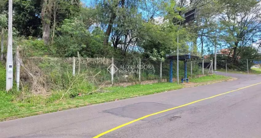 Terreno comercial à venda na Rua Demétrio Ribeiro, 430, Guarani, Novo Hamburgo