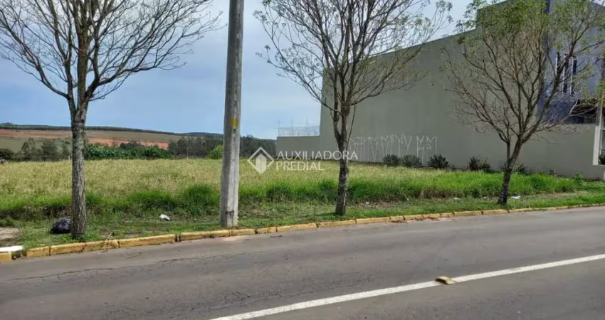 Terreno comercial à venda na Avenida Vereador Adão Rodrigues de Oliveira, 1845, Ideal, Novo Hamburgo