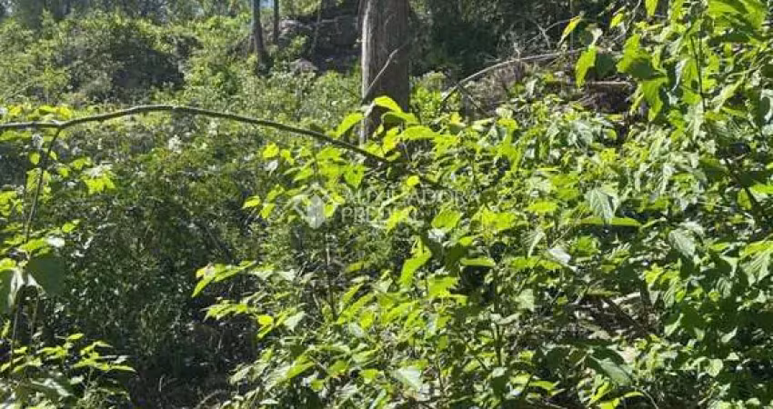 Terreno à venda na Bosque Dos Ipês, 00, Linha Imperial, Nova Petrópolis