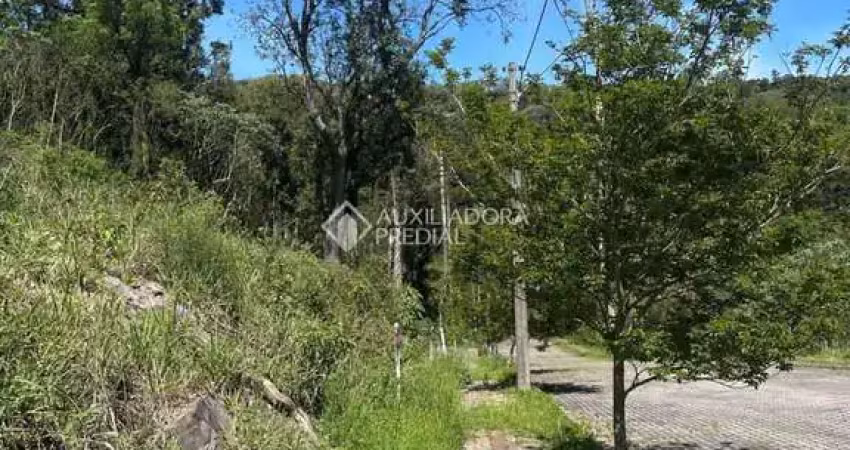 Terreno à venda na Bosque Das Coníferas, 02, Linha Imperial, Nova Petrópolis