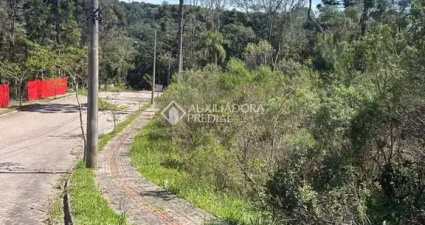 Terreno à venda na Das Araucárias, 01, Linha Imperial, Nova Petrópolis