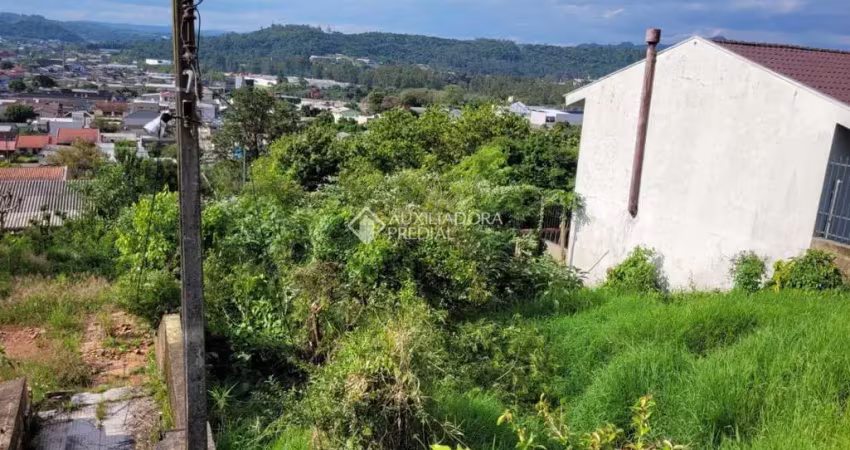 Terreno à venda na Irlanda, 50, Rincão, Novo Hamburgo