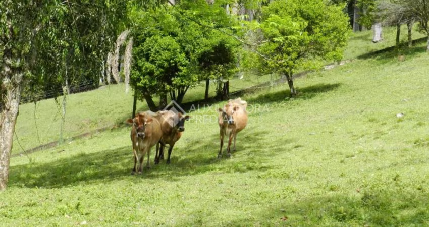 Fazenda à venda na Rua Elio Soares Gayer, 630, São Jorge, Novo Hamburgo