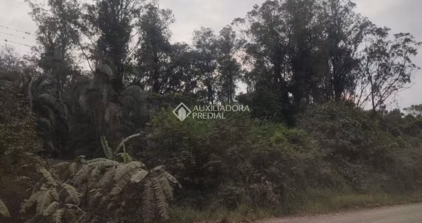 Fazenda à venda na Do Comércio, 00, Barra Do Ouro, Maquiné