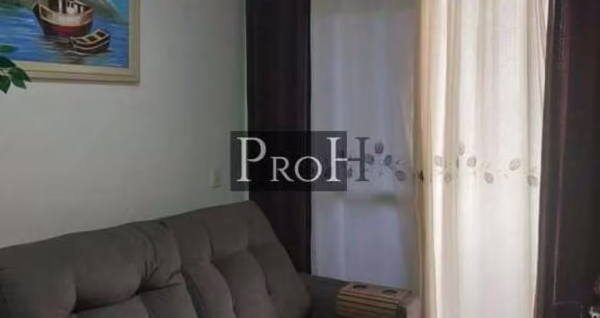 Apartamento Nova Petrópolis São Bernardo