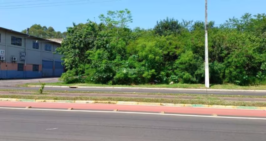 Terreno à venda na Avenida Imperatriz Leopoldina, 1, São José, São Leopoldo
