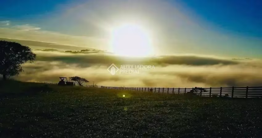 Terreno à venda na Estrada Villy Moelecke, 08, Lomba Grande, Novo Hamburgo