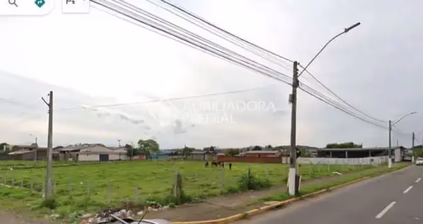 Terreno à venda na Avenida Mauá, 5163, Santos Dumont, São Leopoldo